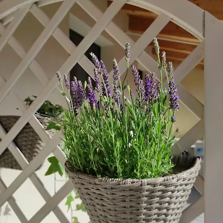 Bed & Breakfast Le Farfalle Di