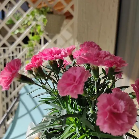 Le Farfalle Di Bed & Breakfast Armeno