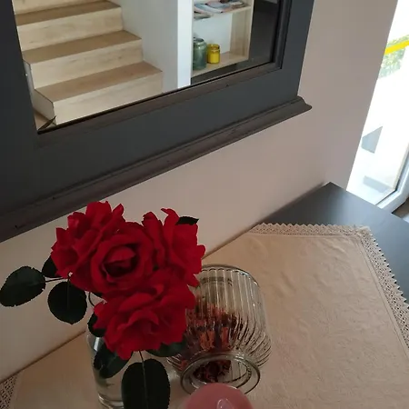 Le Farfalle Di Armeno